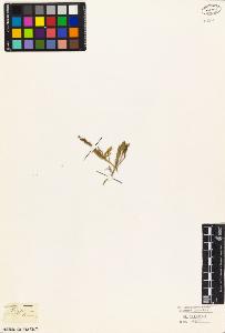 SW_BNB_s3010-03649_IMG-0000000001