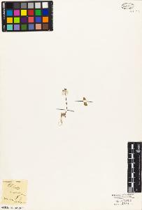 SW_BNB_s3010-03659_IMG-0000000001