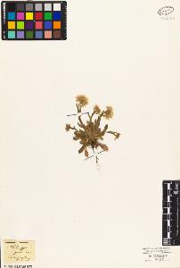 SW_BNB_s3010-03662_IMG-0000000001