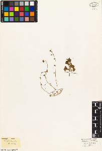 SW_BNB_s3010-03668_IMG-0000000001