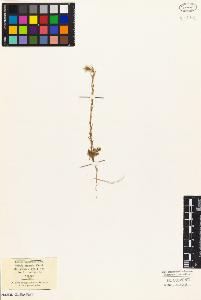 SW_BNB_s3010-03683_IMG-0000000001