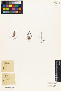 SW_BNB_s3010-03686_IMG-0000000001