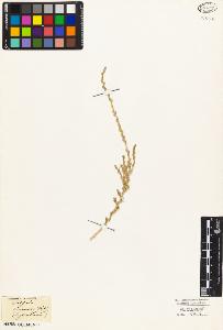 SW_BNB_s3010-03693_IMG-0000000001