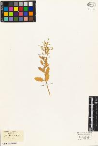 SW_BNB_s3010-03697_IMG-0000000001