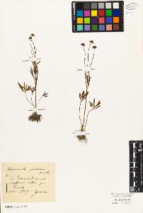 SW_BNB_s3010-03701_IMG-0000000001