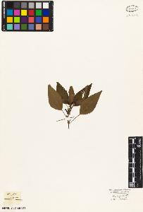 SW_BNB_s3010-03715_IMG-0000000001