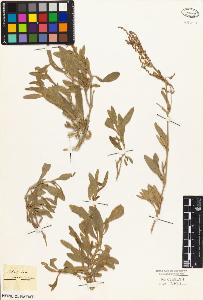 SW_BNB_s3010-03718_IMG-0000000001