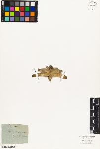 SW_BNB_s3010-03724_IMG-0000000001