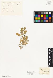 SW_BNB_s3010-03727_IMG-0000000001