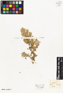 SW_BNB_s3010-03728_IMG-0000000001