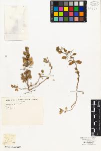 SW_BNB_s3010-03731_IMG-0000000001