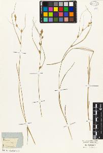SW_BNB_s3010-03733_IMG-0000000001