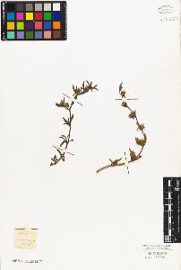 SW_BNB_s3010-03734_IMG-0000000001