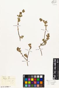 SW_BNB_s3010-03736_IMG-0000000001