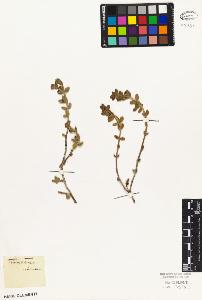 SW_BNB_s3010-03738_IMG-0000000001