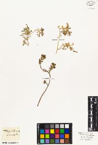 SW_BNB_s3010-03739_IMG-0000000001