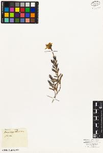 SW_BNB_s3010-03741_IMG-0000000001