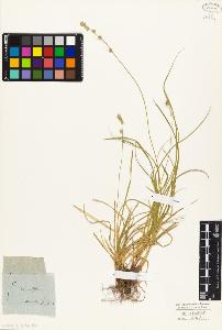 SW_BNB_s3010-03743_IMG-0000000001
