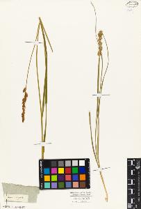SW_BNB_s3010-03749_IMG-0000000001