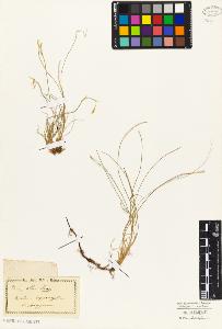 SW_BNB_s3010-03751_IMG-0000000001