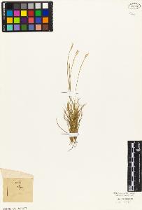SW_BNB_s3010-03752_IMG-0000000001