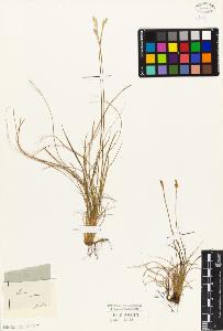 SW_BNB_s3010-03753_IMG-0000000001