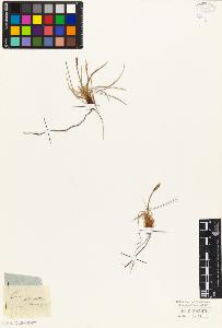 SW_BNB_s3010-03754_IMG-0000000001