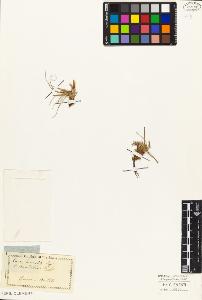 SW_BNB_s3010-03757_IMG-0000000001