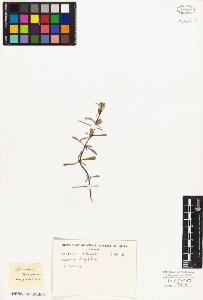 SW_BNB_s3010-03758_IMG-0000000001