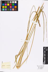 SW_BNB_s3010-03759_IMG-0000000001