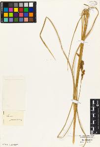 SW_BNB_s3010-03760_IMG-0000000001