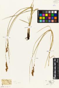 SW_BNB_s3010-03761_IMG-0000000001