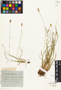 SW_BNB_s3010-03763_IMG-0000000001