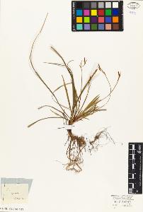 SW_BNB_s3010-03765_IMG-0000000001