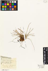SW_BNB_s3010-03768_IMG-0000000001