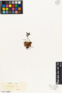 SW_BNB_s3010-03769_IMG-0000000001