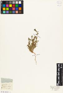 SW_BNB_s3010-03770_IMG-0000000001