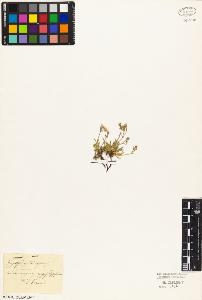 SW_BNB_s3010-03783_IMG-0000000001