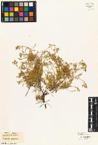 SW_BNB_s3010-03784_IMG-0000000001
