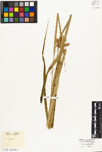 SW_BNB_s3010-03788_IMG-0000000001