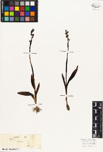 SW_BNB_s3010-03790_IMG-0000000001