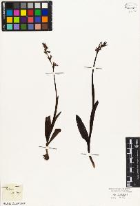 SW_BNB_s3010-03791_IMG-0000000001