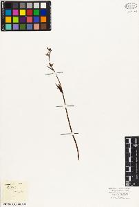 SW_BNB_s3010-03792_IMG-0000000001