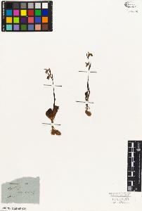 SW_BNB_s3010-03794_IMG-0000000001
