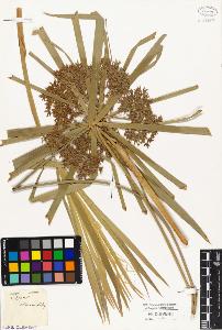 SW_BNB_s3010-03802_IMG-0000000001