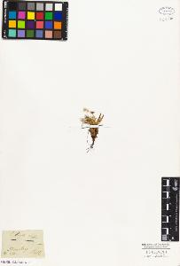 SW_BNB_s3010-03803_IMG-0000000001