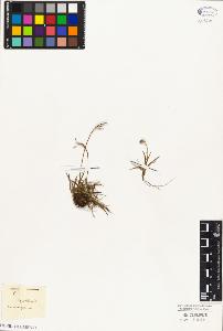 SW_BNB_s3010-03804_IMG-0000000001