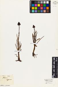 SW_BNB_s3010-03806_IMG-0000000001