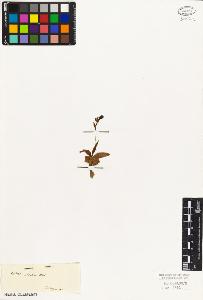 SW_BNB_s3010-03807_IMG-0000000001
