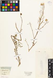 SW_BNB_s3010-03808_IMG-0000000001